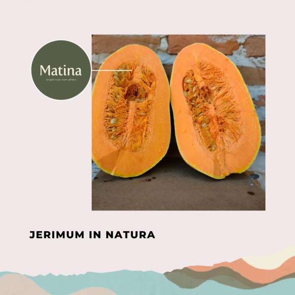 Jerimum orgânico in natura sem sementes